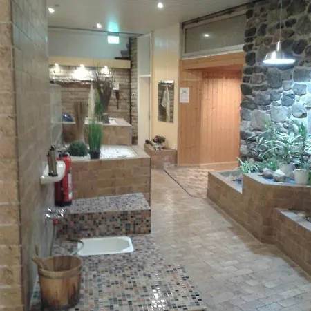 Mogwitz Ii Mit Pool Und Sauna Apartment Bad Harzburg